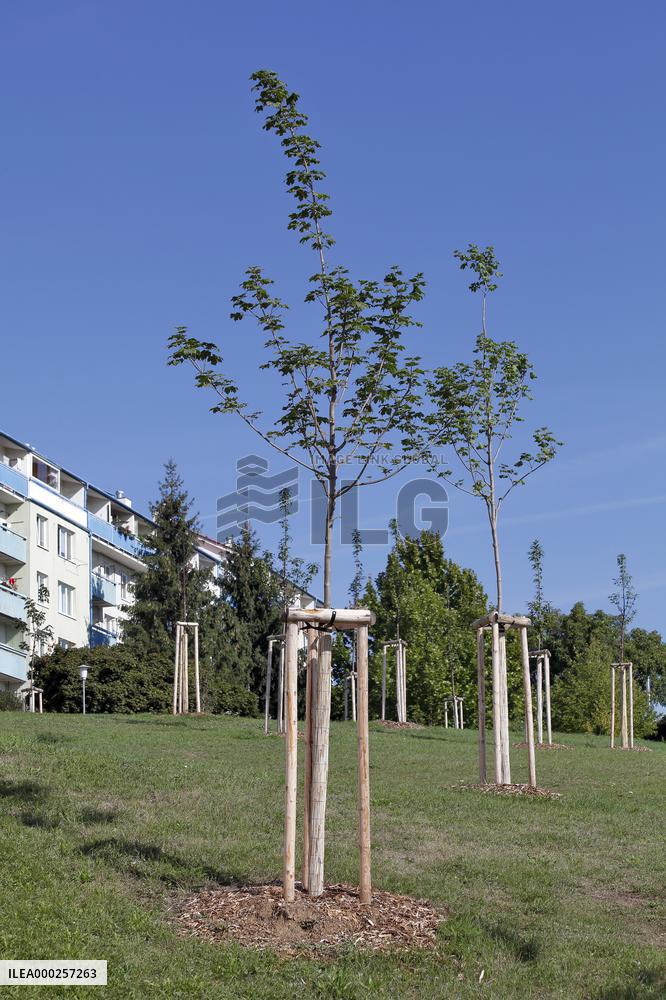 Urban open space in Brno Lisen estate housing