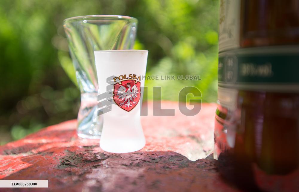 Czechs symbolically meet their Polish neighbours to support border reopening