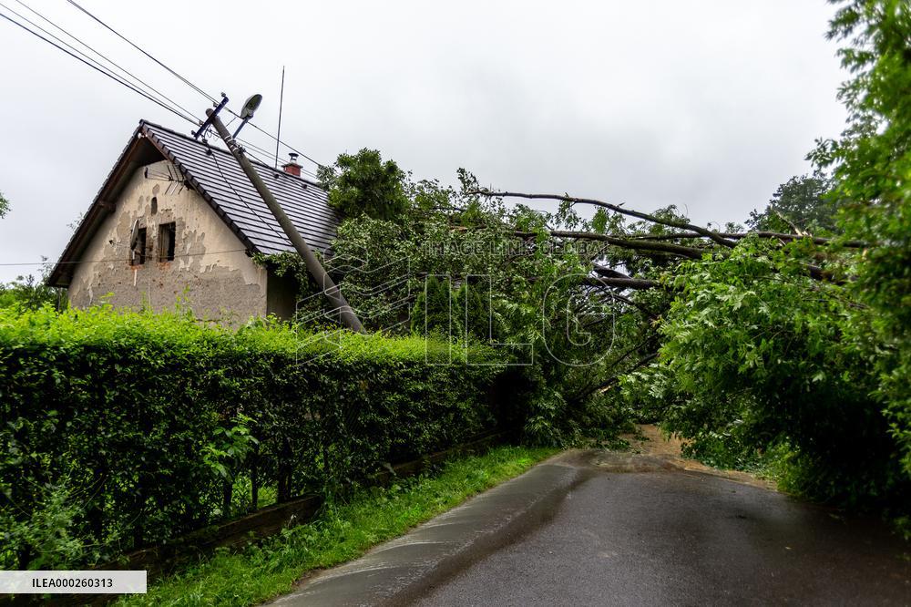 Firemen, Lubina, Koprivnice, waterlogged, hillside fell, fallen trees, power lines