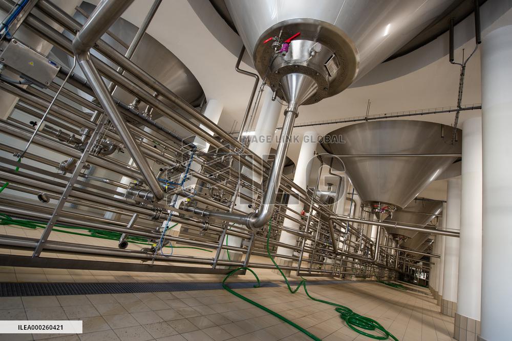 Brewery Budejovicky Budvar , beer production