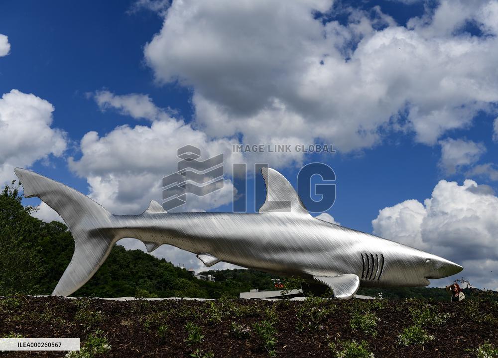six-ton steel shark sculpture