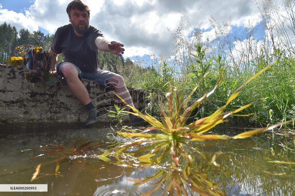 Jiri Sindelar, Botanical Garden in Becov nad Teplou, aquatic plant, planting
