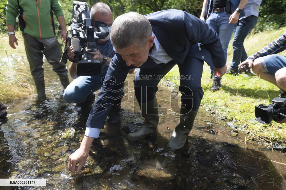 Andrej Babis, stone crayfish (Austropotamobius torrentium)