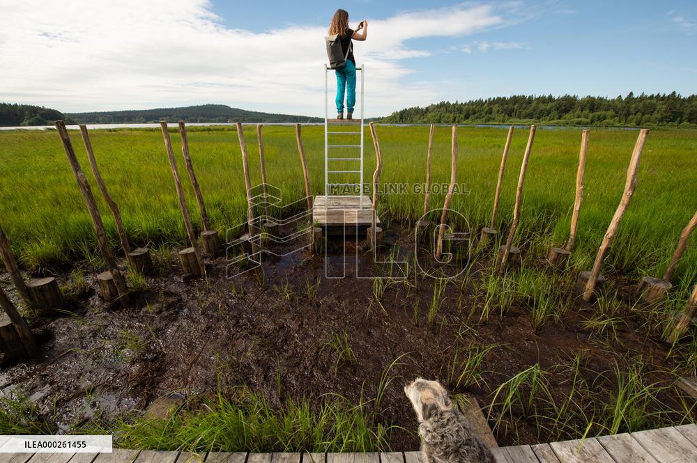 new nature trail, peat bog, moor