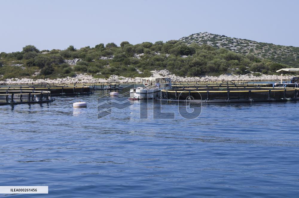 sea, fish farm, farming, fishing
