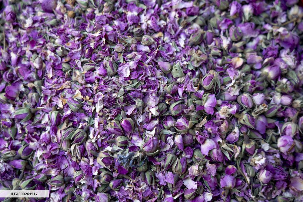 sell of herbs and spices in medina