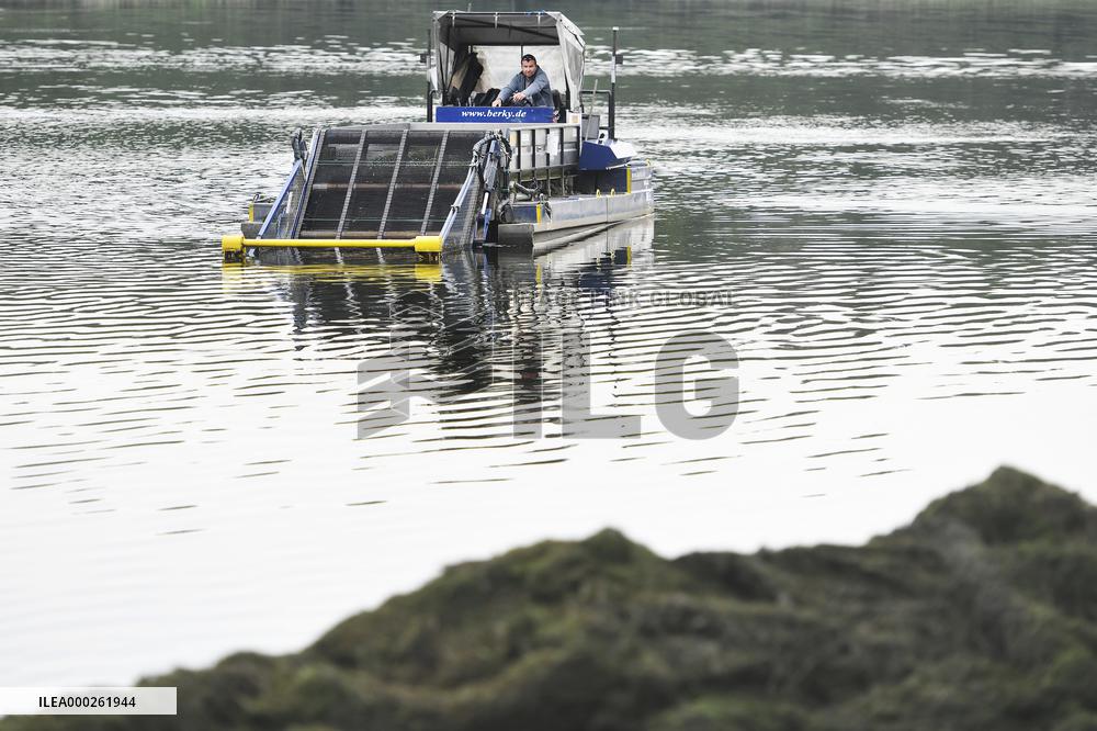 aquatic weed harvester, water mower, mowing boat, weed cutting boat