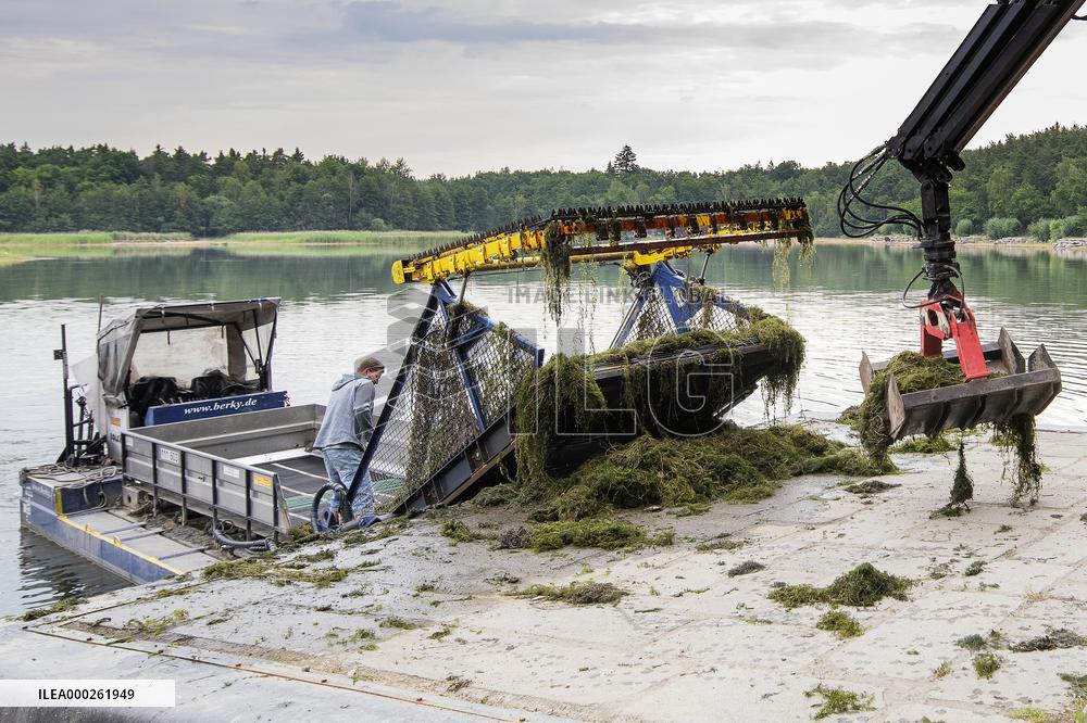 aquatic weed harvester, water mower, mowing boat, weed cutting boat