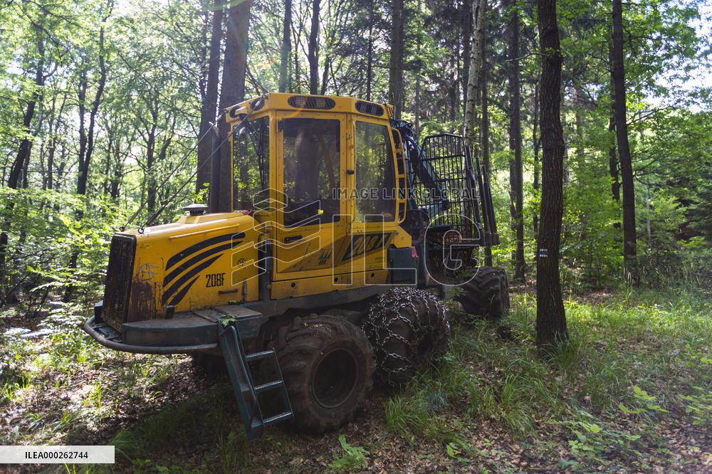 Forestry machine combi, wood, forest