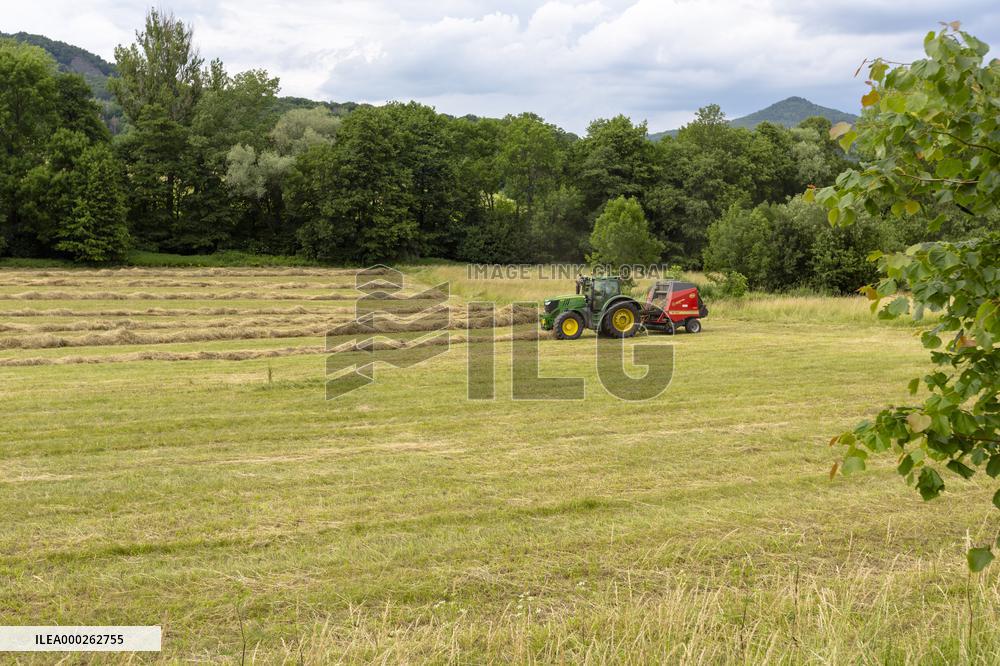 Milesovka, Milesovka, mountain, hill, tbale, pack, straw, wheel, reels, hay, hays, haulm, corn, cereals, cereal, field, harvest, harvest-time, farmer, agriculturist