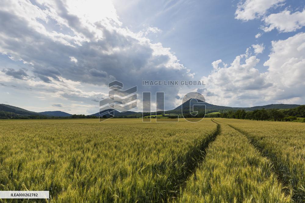Milesovka, Milesovka, mountain, hill, transmitter, meteorological station, observatory, lookout tower