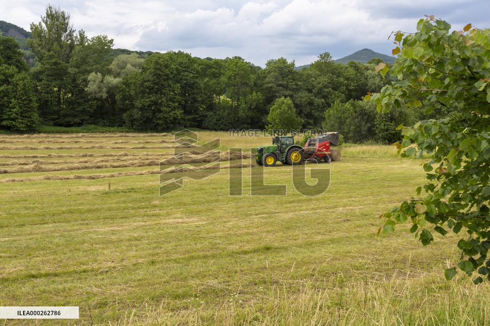 Milesovka, Milesovka, mountain, hill, tbale, pack, straw, wheel, reels, hay, hays, haulm, corn, cereals, cereal, field, harvest, harvest-time, farmer, agriculturist