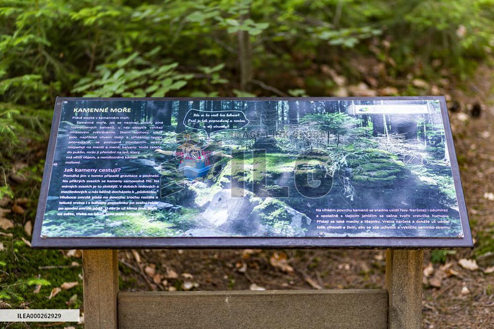 Prachatice, Forest games area, climbing frame, playground, trees, sings