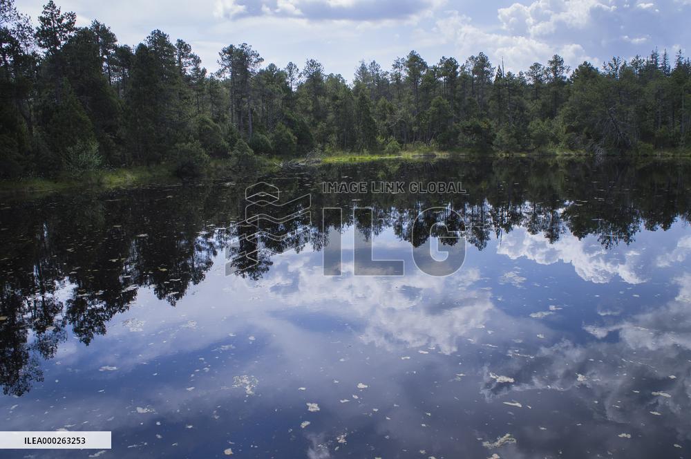 Great Moss Pool, Rejviz NNR, educational trail, path, bog, bogland, peat