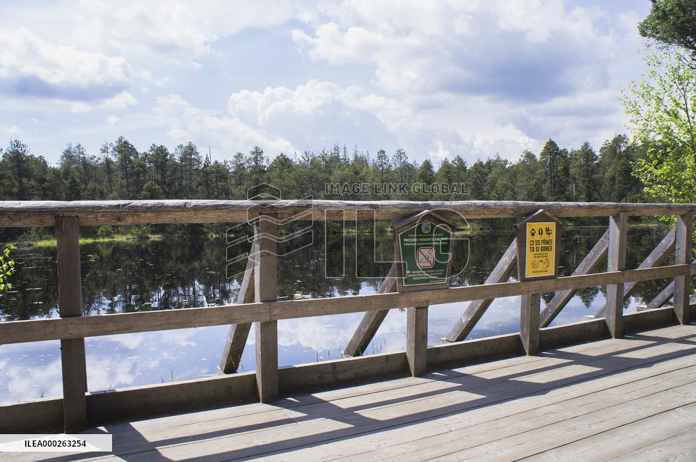 Great Moss Pool, Rejviz NNR, educational trail, path, bog, bogland, peat