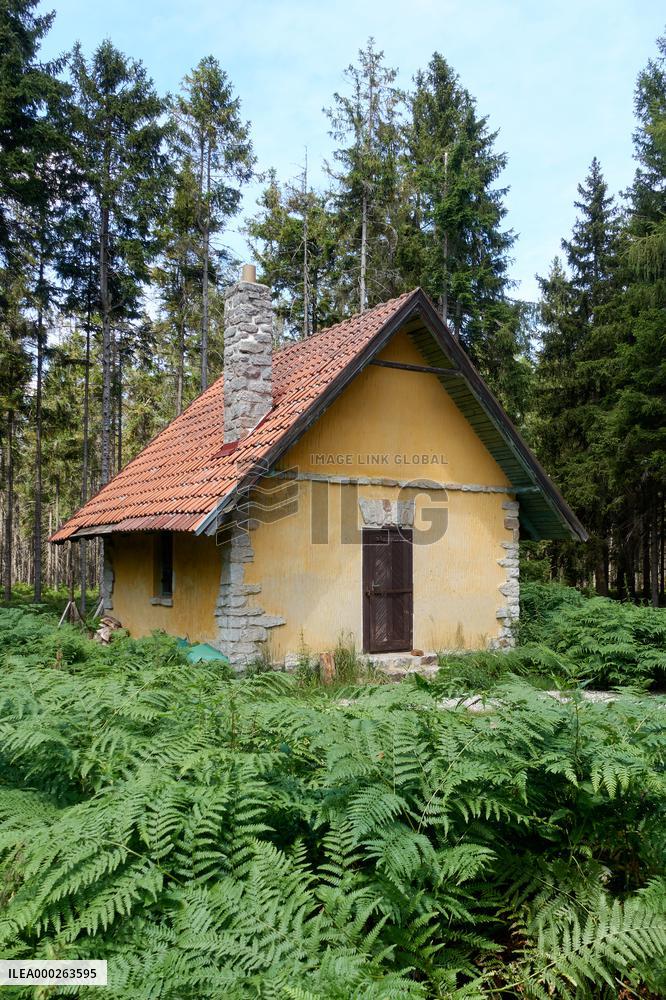 Forested highlands, mountain Brdy