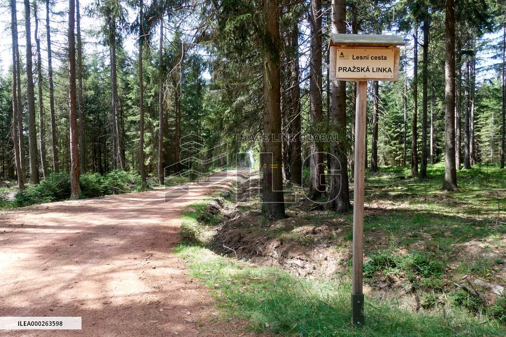 Forested highlands, mountain Brdy