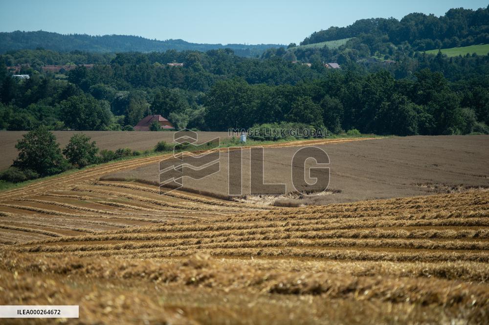 oat, field, harvest, harvesting