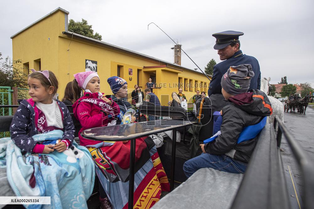 first-graders, carriage, Kladruber horse, horses, sprimary school, beginning of the new school year