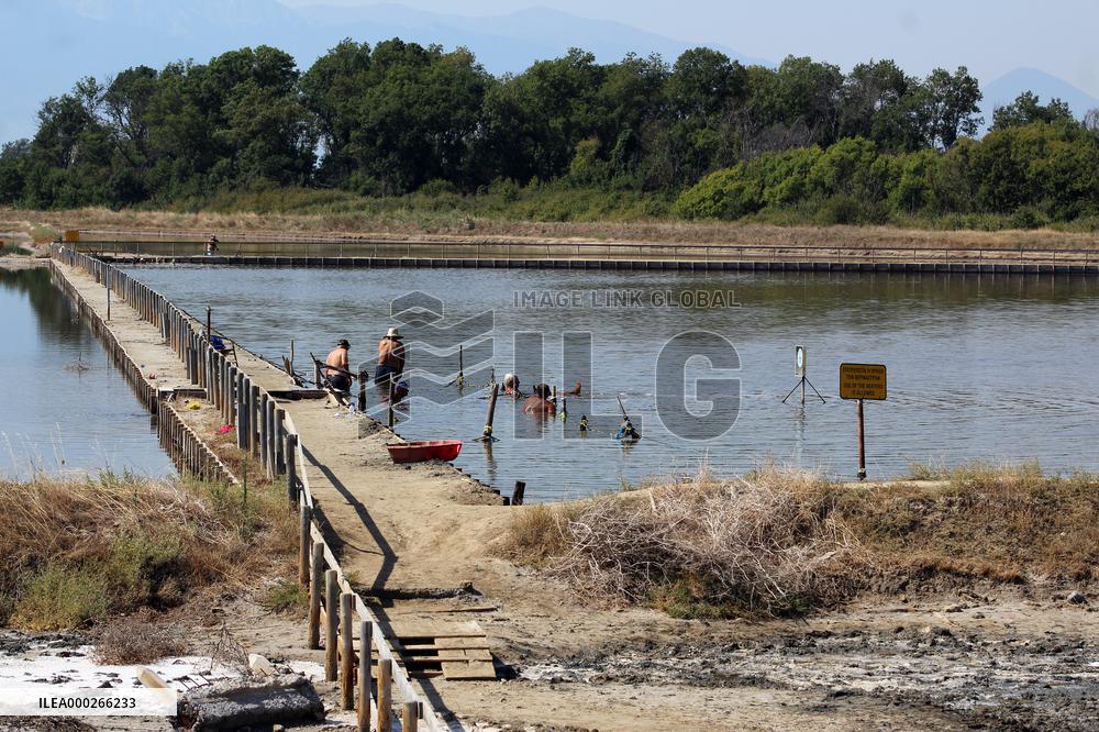 People, tourists, therapeutic, sea salt, salt works Kitros, production, Greece, salina
