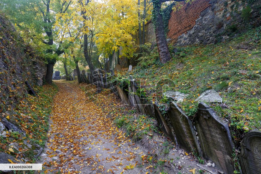 Mikulov, Jewish cemetery, tourists, autumn