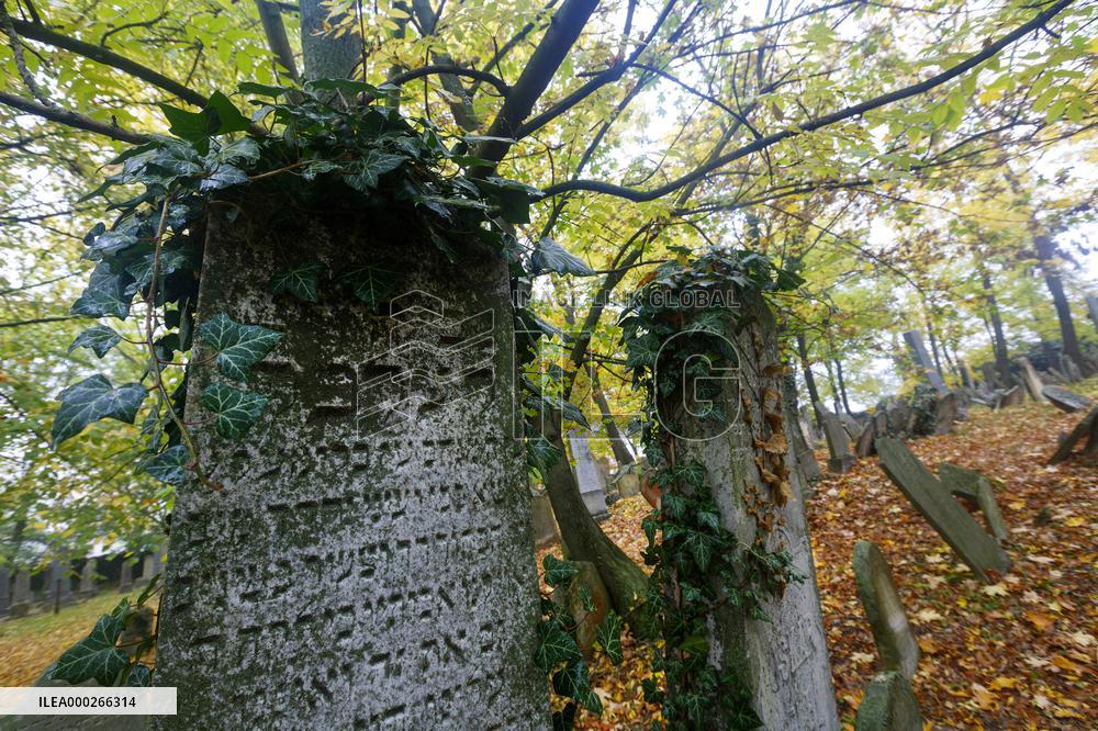 Mikulov, Jewish cemetery, tourists, autumn