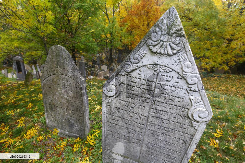Mikulov, Jewish cemetery, tourists, autumn