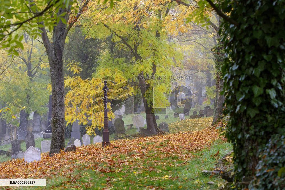 Mikulov, Jewish cemetery, tourists, autumn