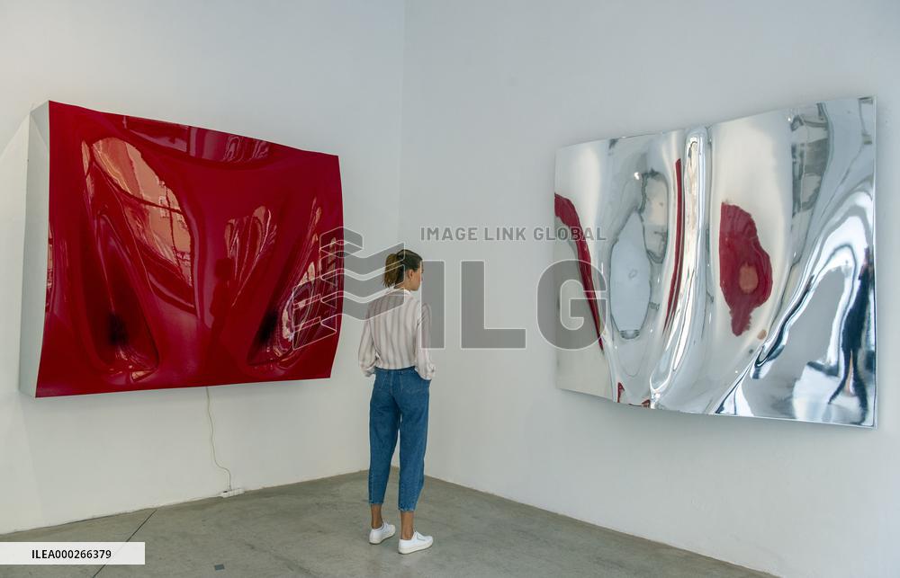 David Cerny/Last Works exhibition