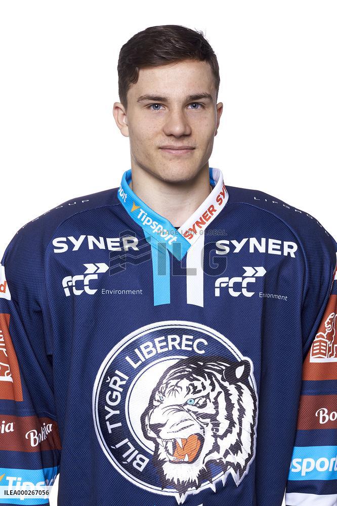 Jan Stibingr, Bili tygri Liberec