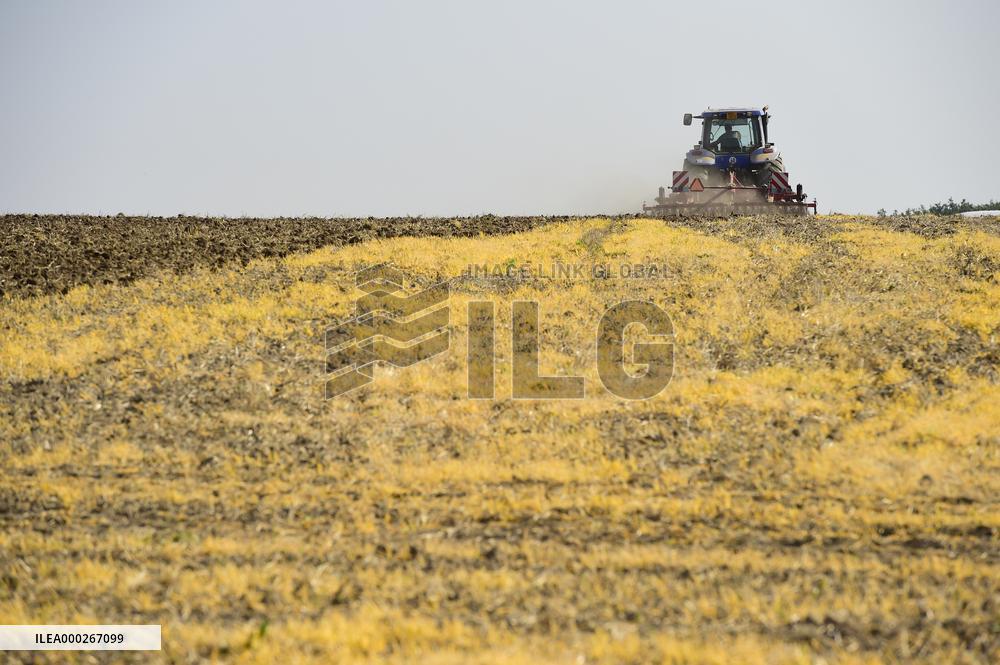 ploughing, field, tractor, plough