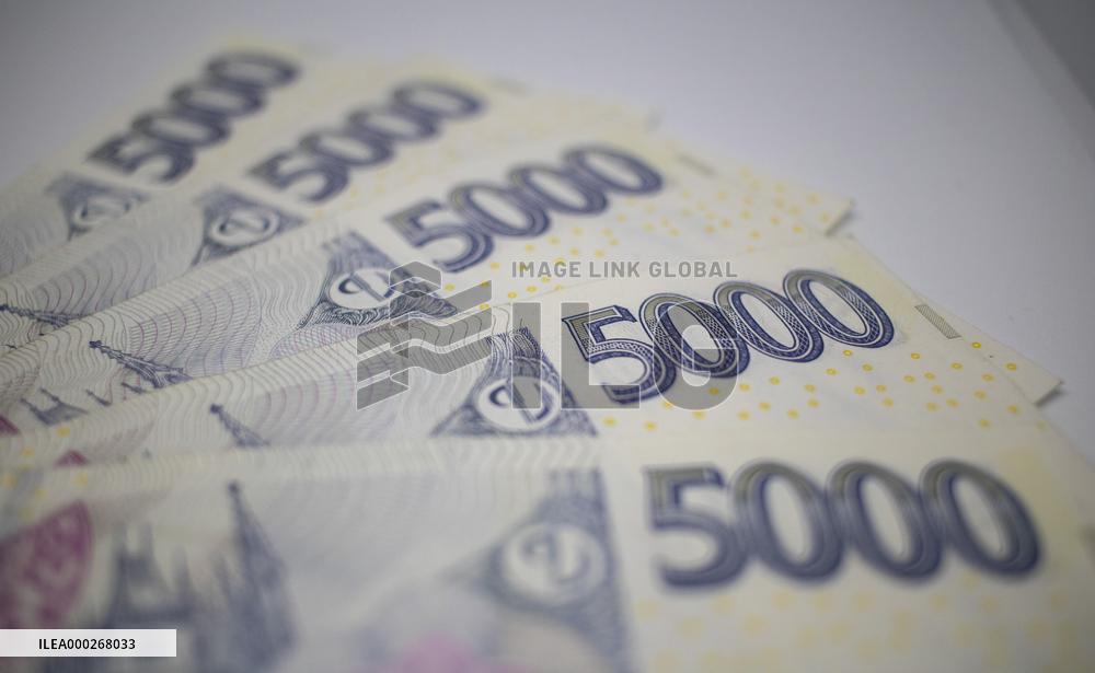 money, Czech crowns, 5000, banknotes, cash