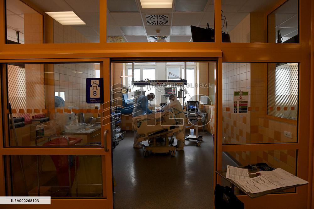 Hospitalised coronavirus patients, doctors, mask, General University Hospital in Prague