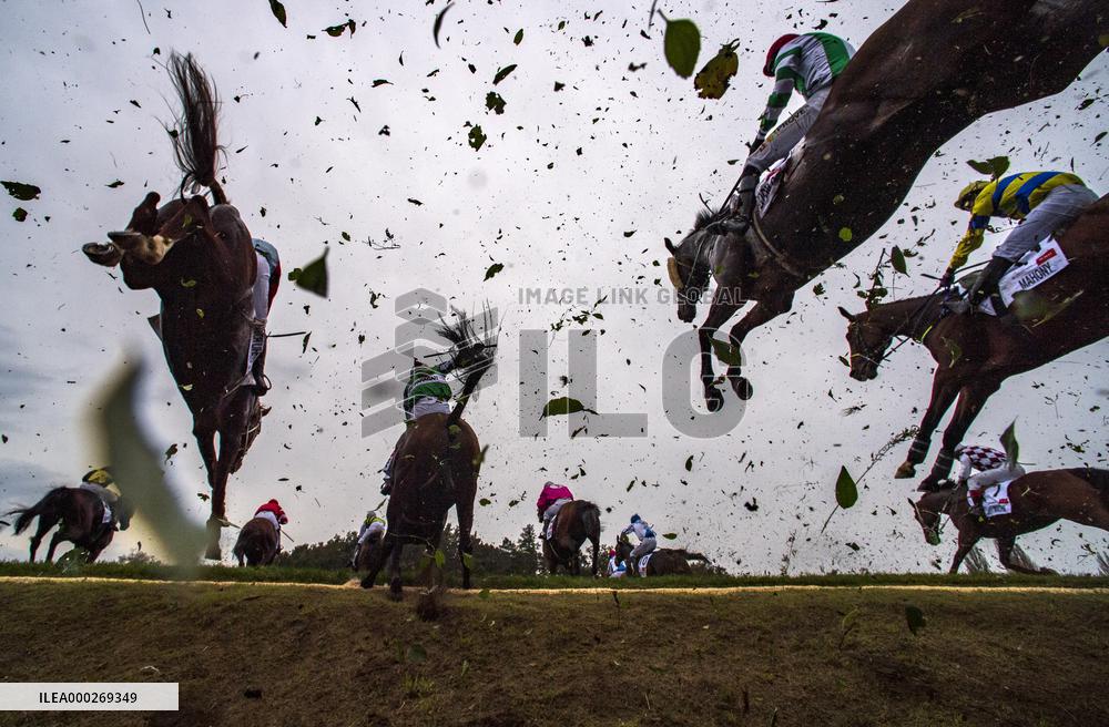 Taxis ditch, 130th Grand Pardubice Steeplechase, horses, jump