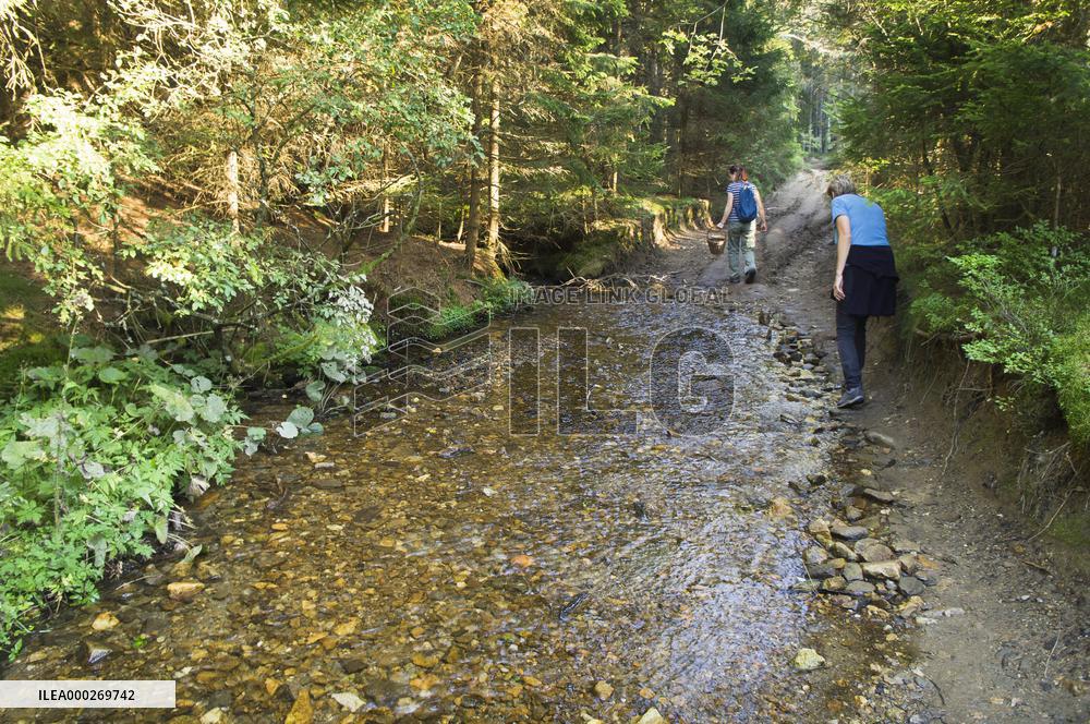 The Nature reserve Keply Wetlands