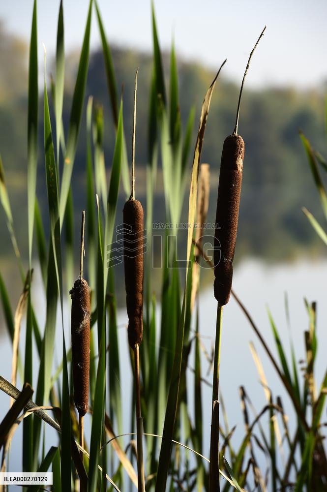 Litovelske Pomoravi Protected Landscape Area