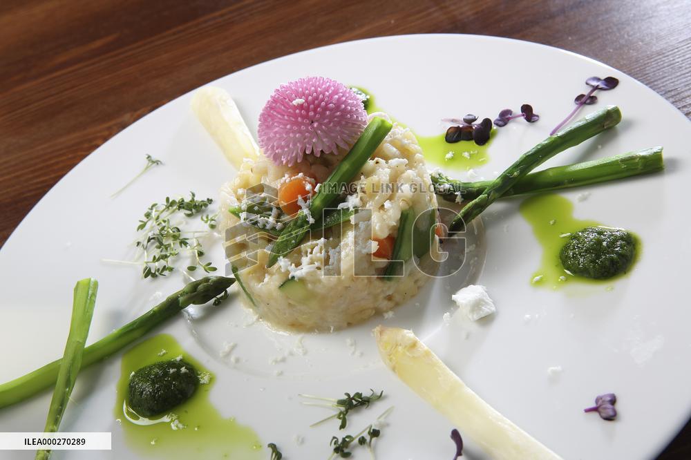 Italian risotto, asparagus, leek, vegetarian food, plate