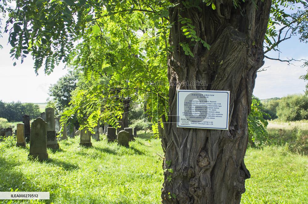 Jewish cemetery Safov