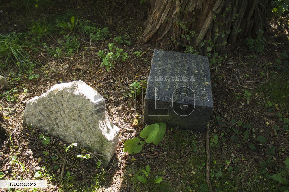 Jewish cemetery Safov