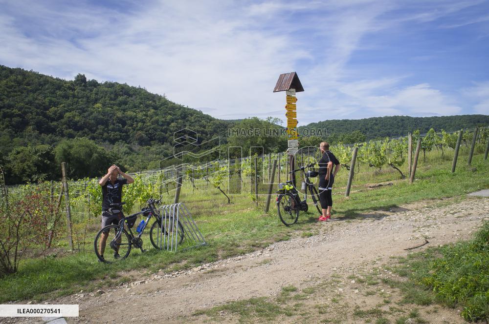 Sobes Vineyard, rest place, tourist sign post, Greenway Bike Route