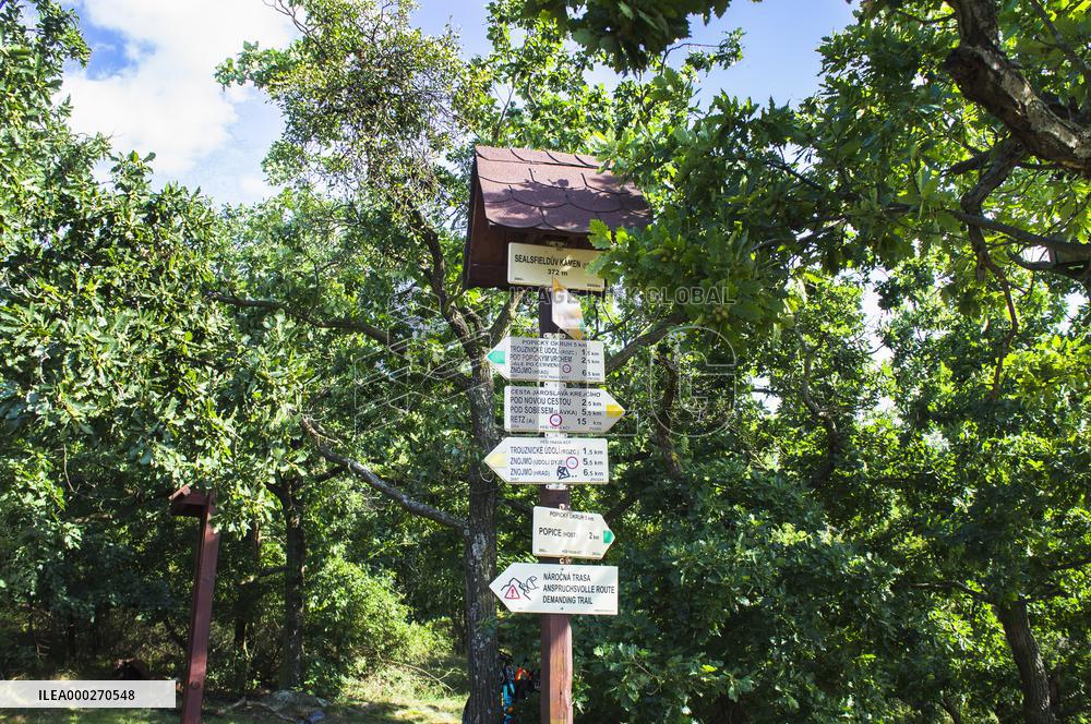 Sealsfield stone, Podyji National Park, Thayatal