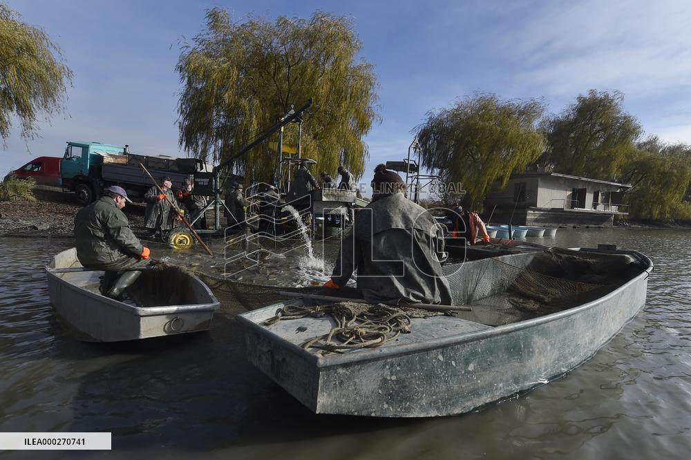 Bezruc pond, Jistebnik, fishermen, fishes