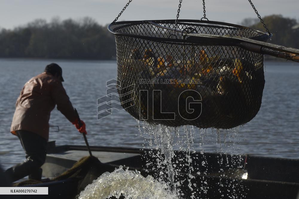 Bezruc pond, Jistebnik, fishermen, fishes