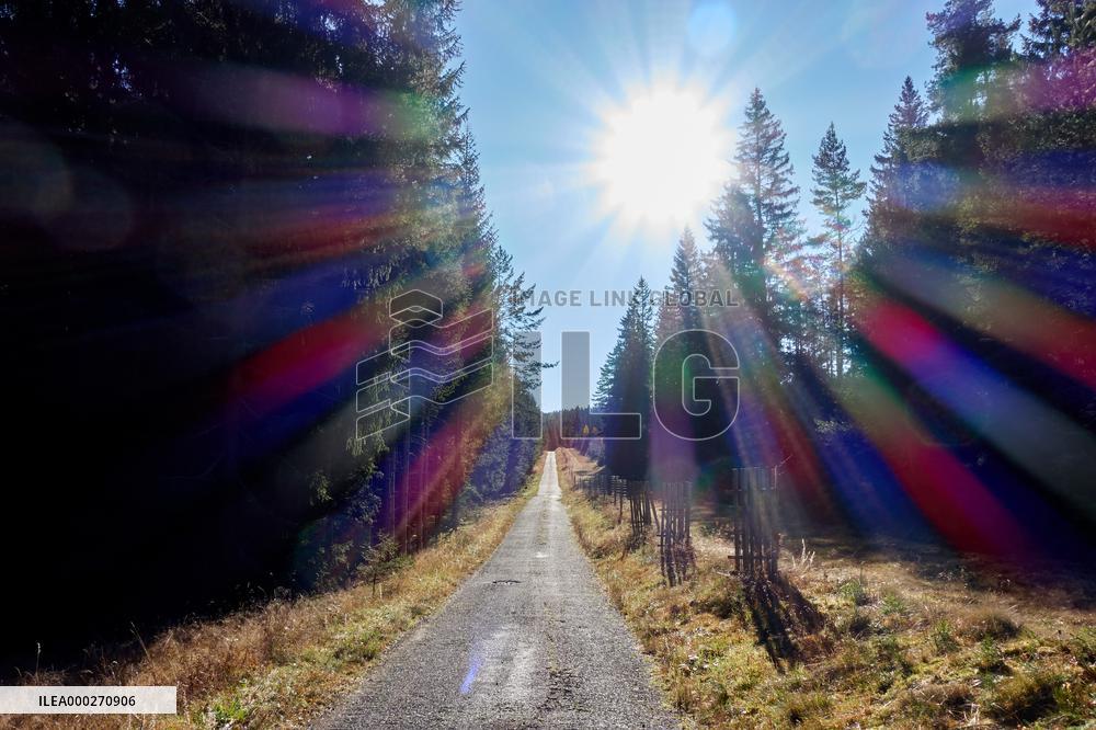 Sumava, trees, autumn colors, road to Polednik Mountain, sun solar corona, sunlight sun rays