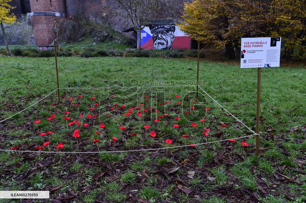 A field of poppies mark tomorrow's celebration of War Veterans Day