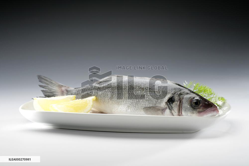 Atlantic cod, fish