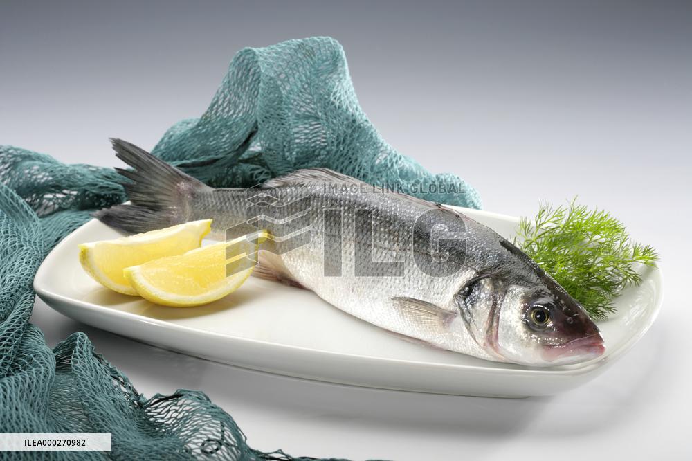 Atlantic cod, fish