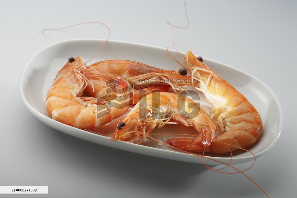 caridea, caridean shrimp, prawns, Penaeus monodon