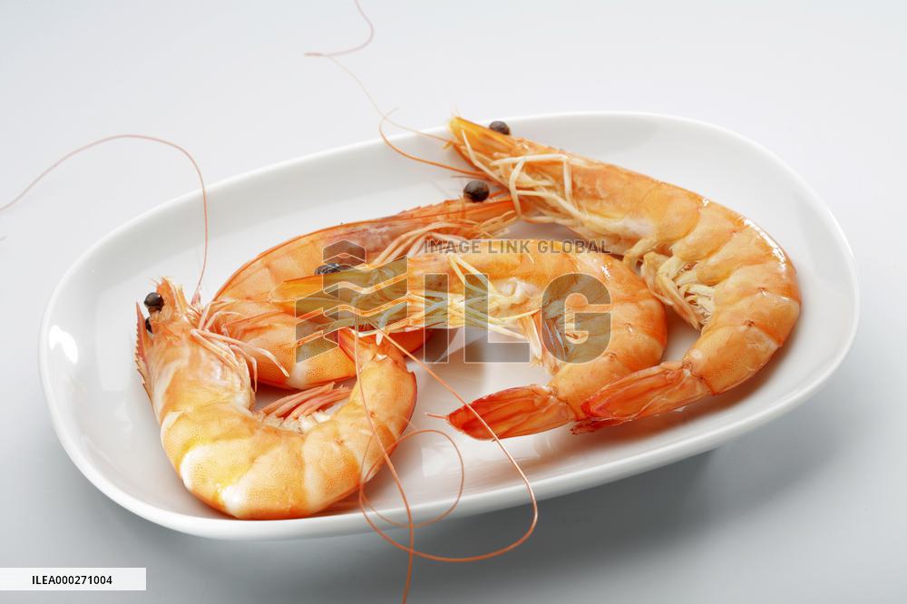 caridea, caridean shrimp, prawns, Penaeus monodon