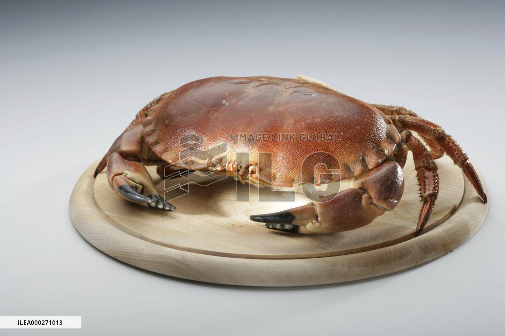 crab